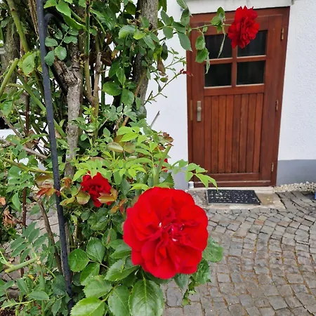 Fanissimo Apartment Berzhahn