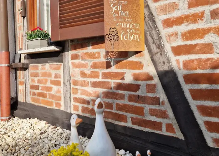 Apartamento Fanissimo