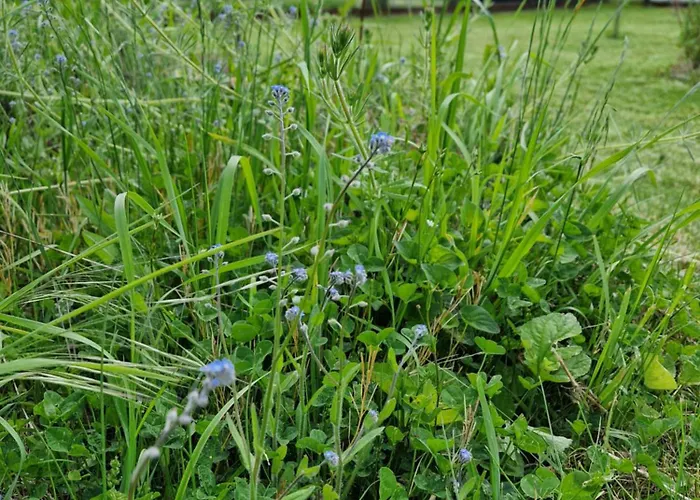 Fanissimo דירה Berzhahn