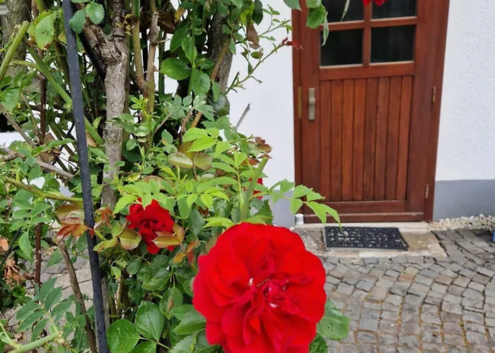 Fanissimo דירה Berzhahn